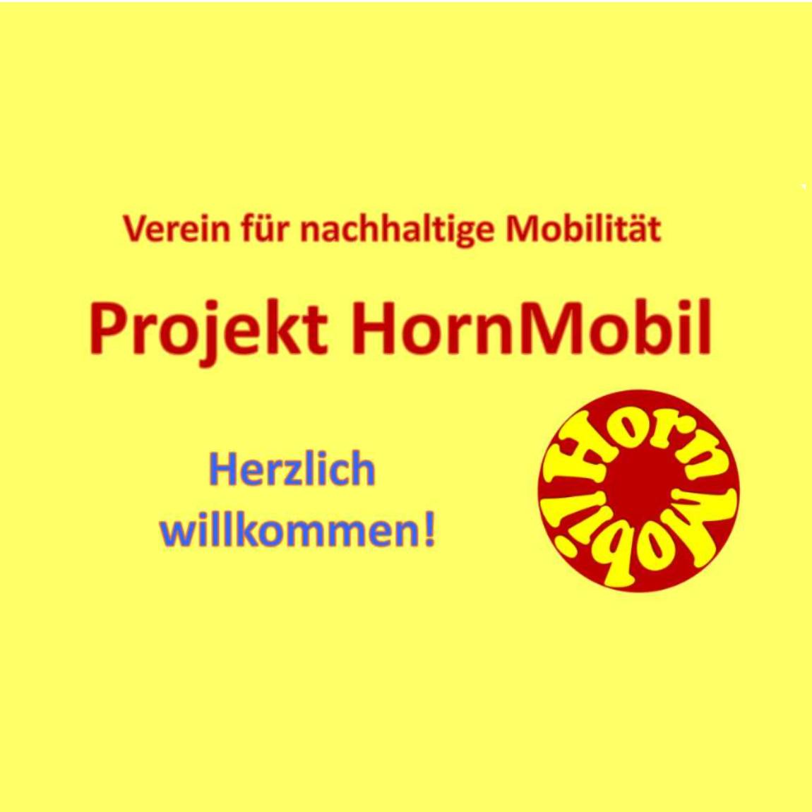Info Ehrenamtl. Fahrtendienst